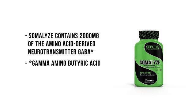 Amazon.com: Species Nutrition Somalyze Stimulant Free, Appetite